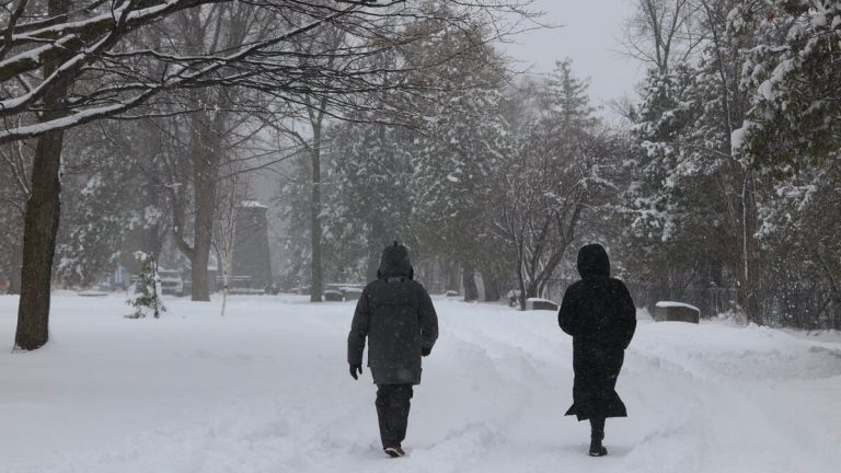 20 to 30 cm of snow in Quebec: winter is still not over