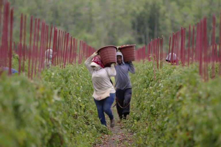 A sequel to the documentary Food, Inc.