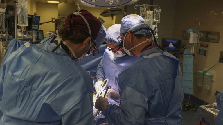 American surgeons transplanted a pig kidney into a living patient, a first