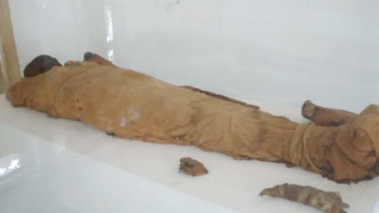 An Egyptian mummy in Cuba