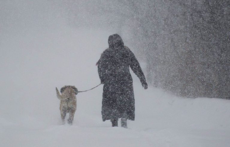 Around 20 cm of snow expected in eastern Quebec