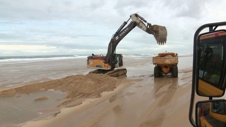 Biscarrosse tries to protect its beach from coastal erosion