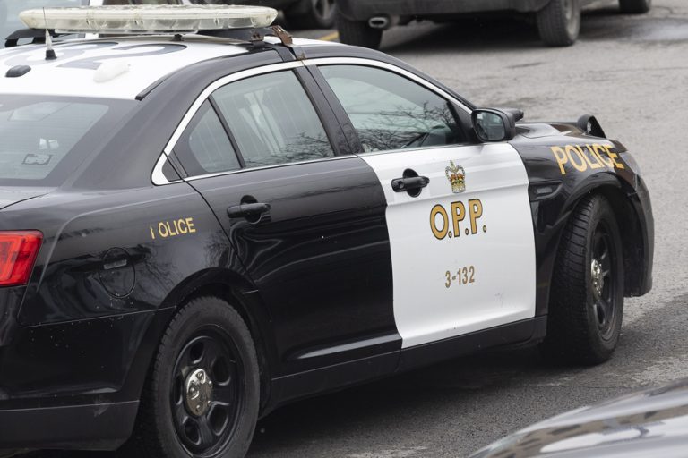 Car thefts in Ontario |  The OPP and the SPVM arrested 31 people in Quebec