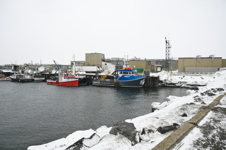 Closure of Eastern Seafood |  The end for Matane shrimp?