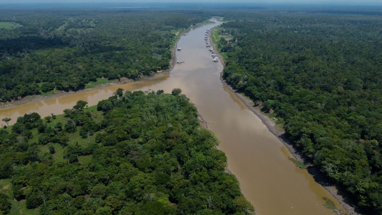 Deforestation in the Brazilian Amazon reached its lowest level since 2018 in January and February