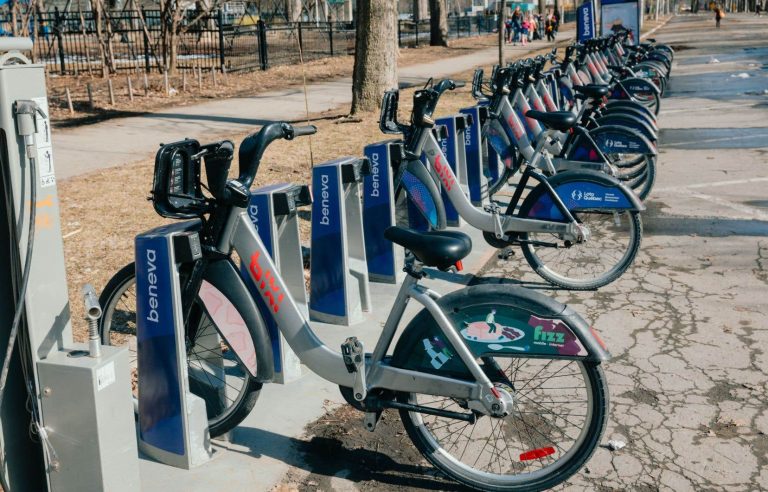 Despite a few glitches, the Bixi survived the winter