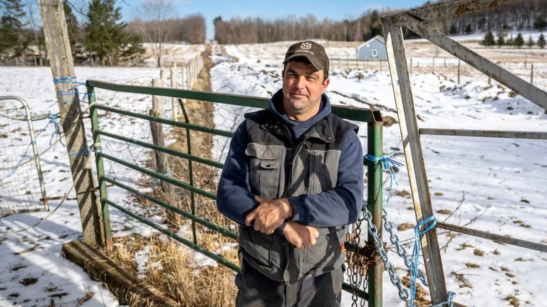 [EN IMAGES] Illegal crossings in Saint-Armand: “At the end” of the damage, he has a trench dug