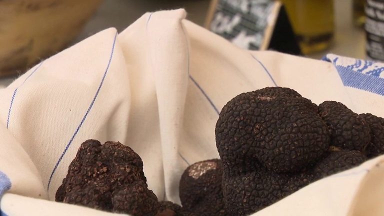 European capital of truffles