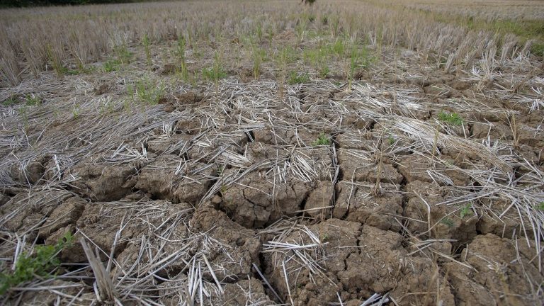 Explain the El Niño weather phenomenon to us