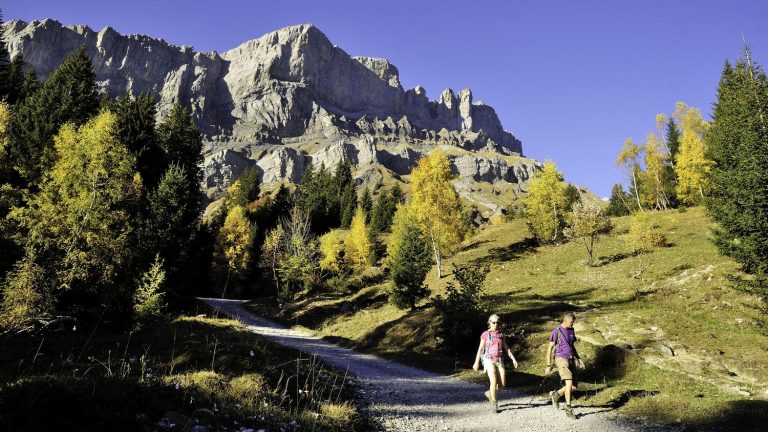 France affected by the first birch pollens, red alert for cypress pollens around the Mediterranean