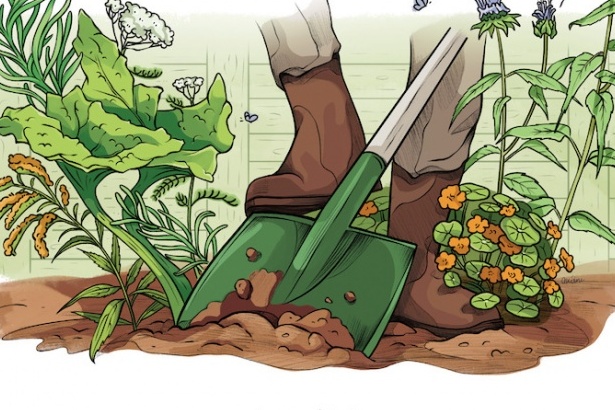 Gardening news |  A little reading before spring