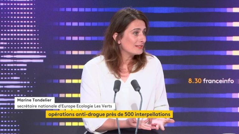 “If we taxed superprofits, we could leave the French alone,” says Marine Tondelier