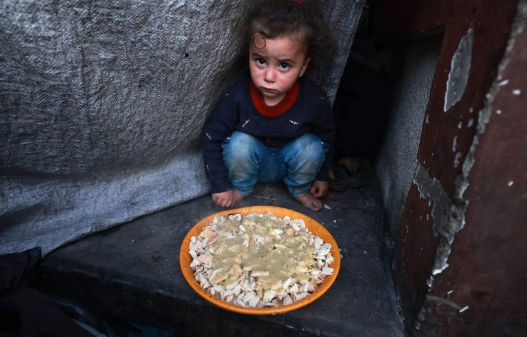 Increased international efforts to send aid to famine-hit Gaza