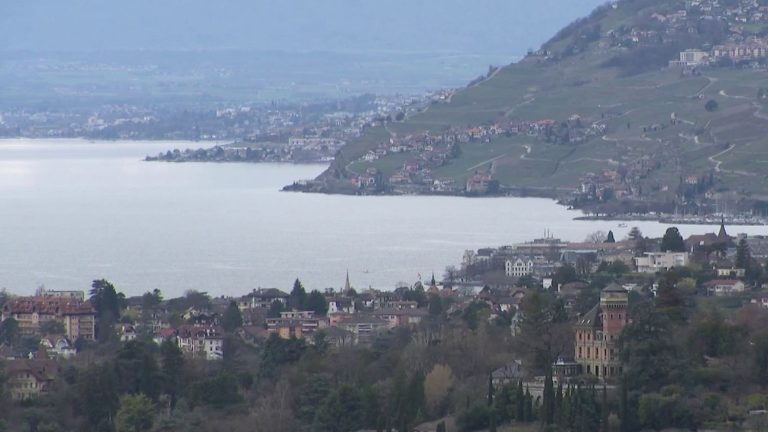 Lake Geneva threatened by high temperatures