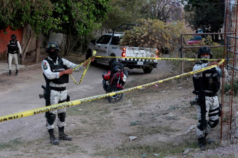 Mexico |  Charred human remains found in the west of the country