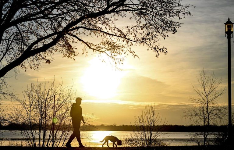 Montreal experiences its second warmest winter, according to Environment Canada