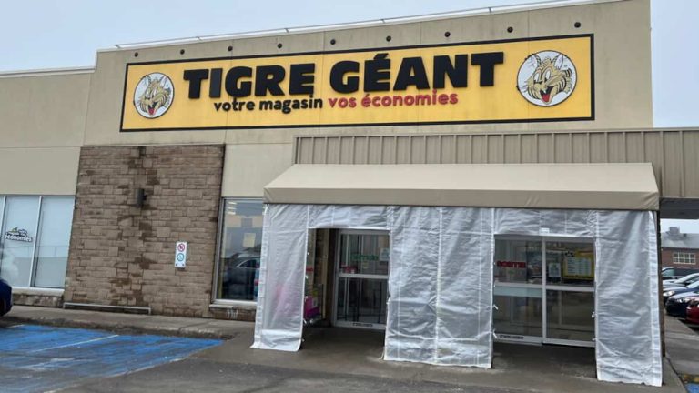 “My email box is overflowing, it’s hell”: 131 spam emails after the data leak at Giant Tiger