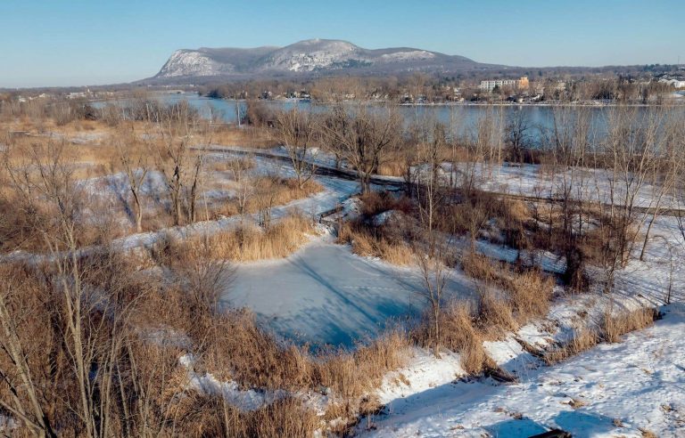 No inspection of the Northvolt site during the destruction of wetlands