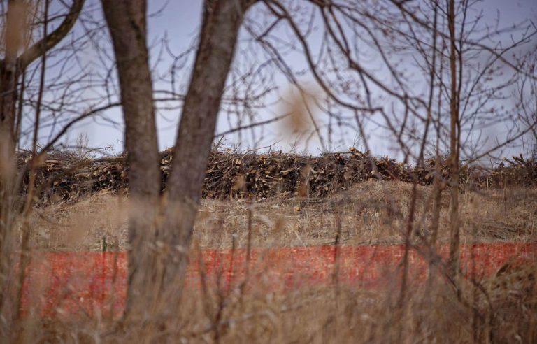 Northvolt singled out for having “cleared the entire area to be conserved” of a marsh