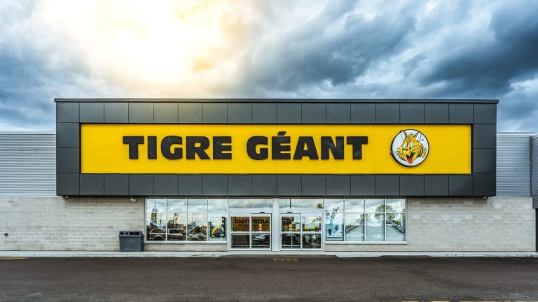 Personal information leak: Giant Tiger customer data was compromised