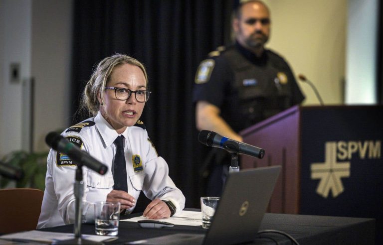 Police forces rely on specialized teams and training to counter domestic violence