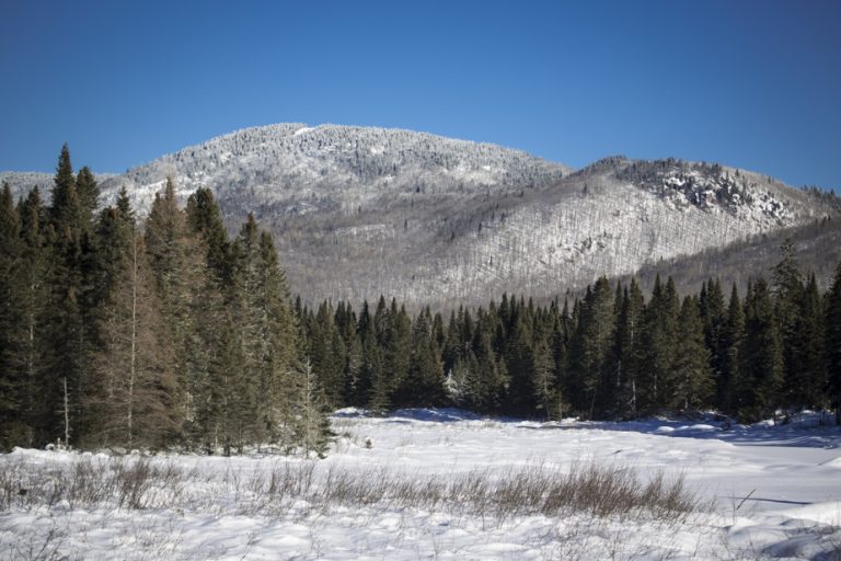 Quebec plans to reserve the territory of Mount Kaaikop