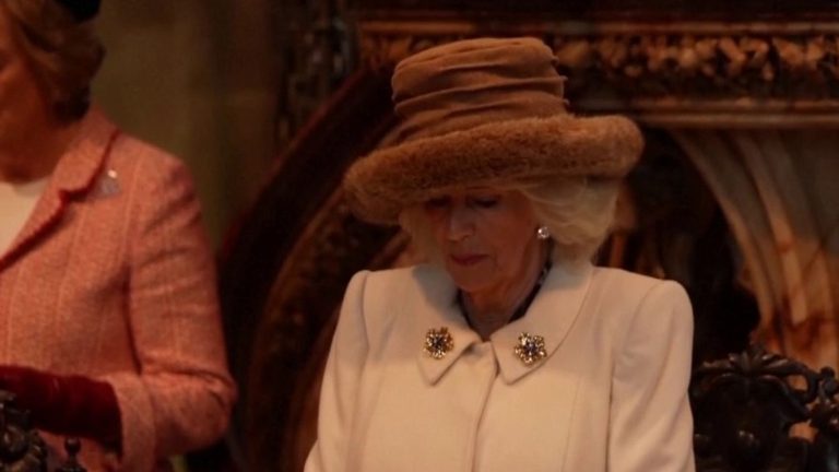 Queen Camilla carries out the official duties of the royal family