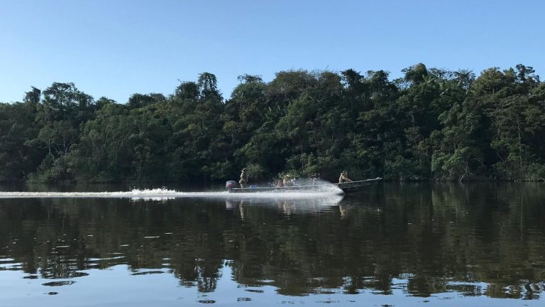 REPORTING.  Dam on the river, destruction of camps in the forest… We followed the foreign legion fighting against illegal gold panning in French Guiana