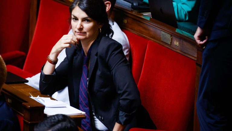 “Rather than putting France back to work, Emmanuel Macron is putting it out of work,” declares LFI MP Aurélie Trouvé