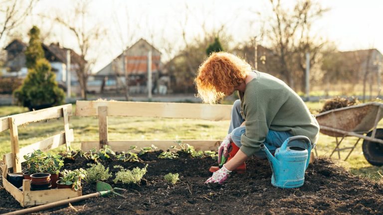 Return of mild weather: it is not yet the right time to start gardening your land