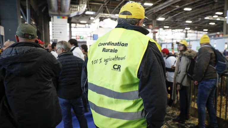 Rural Coordination mobilized around the Arc de Triomphe in Paris, the A86 and the A4 blocked towards the capital