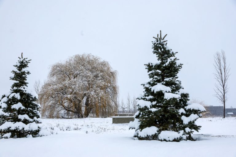 Snow causes outages in several regions of Quebec