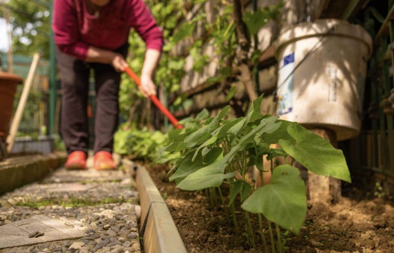 Social justice and ecological transition, hand in hand