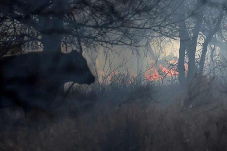 Texas |  Firefighters are still battling the flames