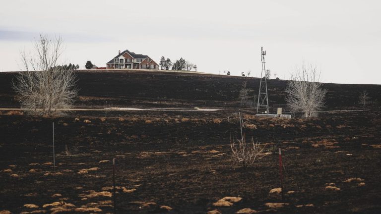 Texas faces the largest fires in its history