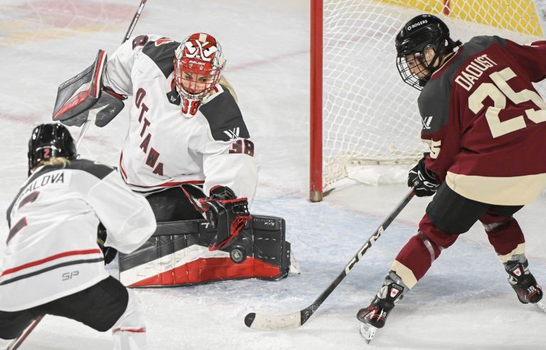 The National Assembly supports the arrival of a women’s hockey team in Quebec