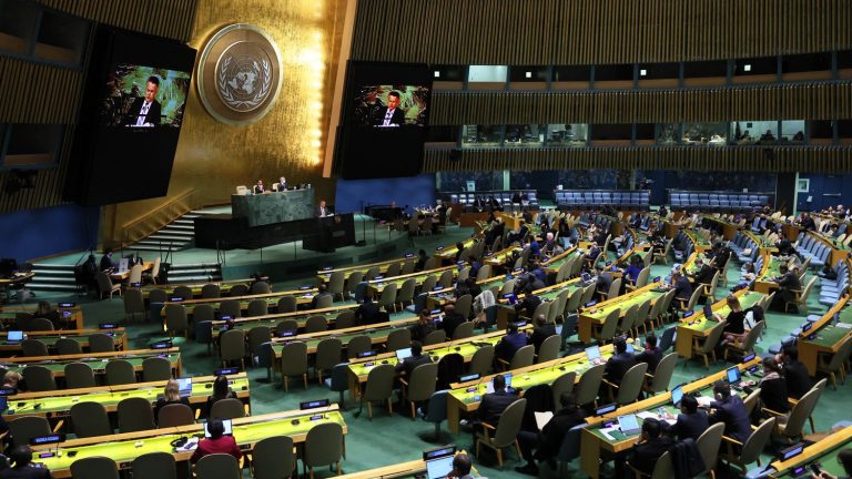 The UN General Assembly calls for regulating artificial intelligence