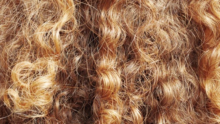 The bill against hair discrimination soon in the Assembly