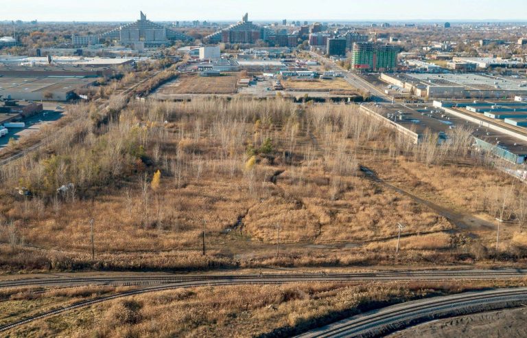 The extension of Boulevard de l’Assomption will partly destroy the Steinberg woodland