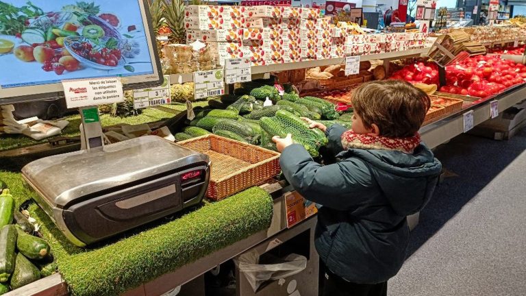 The government wants to strengthen food education to encourage eating healthier and based on fresh products