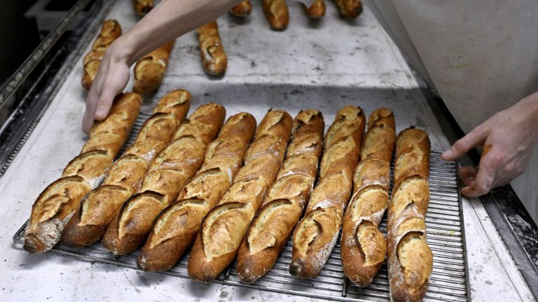 The right dosage of water at the start is an essential element in baking bread, according to a study