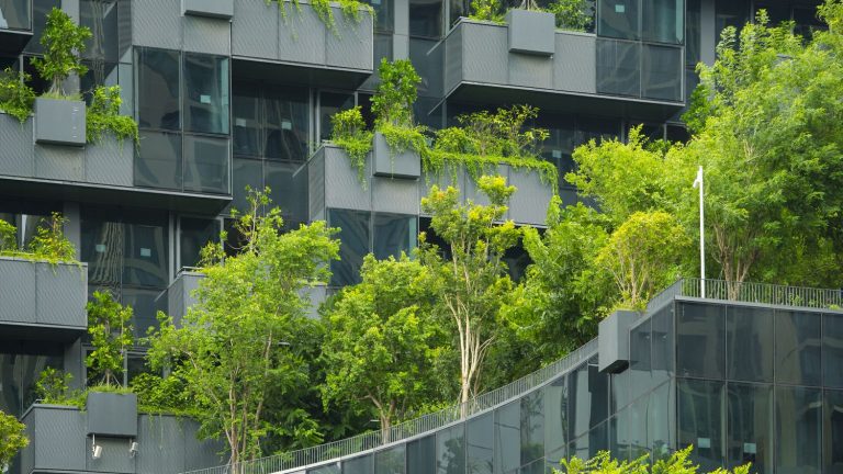 The twisted effect of trees in the city