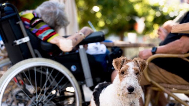 “This is an extremely important measure,” underlines the president of the National Union of Establishments and Residences for the Elderly