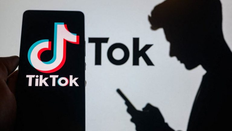 TikTok calls on its users to pressure Congress to defeat its ban bill