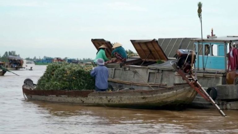 Tourism: in Vietnam, buyers and sellers travel by boat to the Long Xuyên floating market