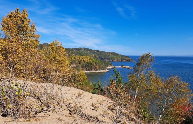 Towards a new national park in Tadoussac