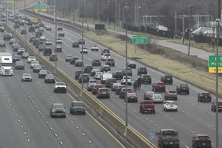 United States |  Horses disrupt highway traffic in Cleveland