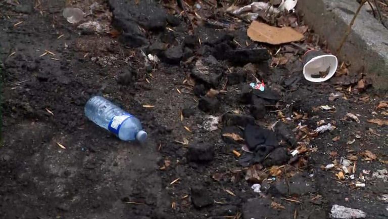 Unsanitary conditions in Montreal: the weather and the carelessness of the citizens involved