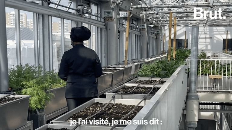 VIDEO.  We visited the Market Garden City of Romainville