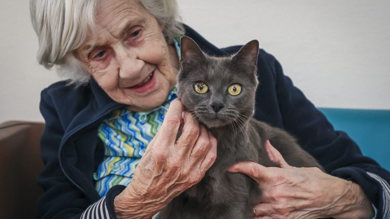 Visits to nursing homes, pets, fight against abuse… What does the text on “aging well” adopted by Parliament contain?